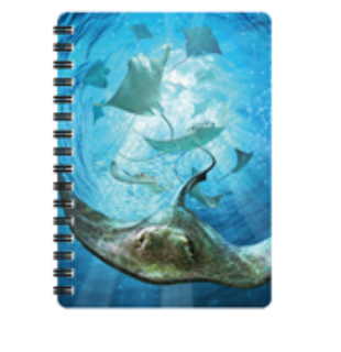 Obrázek z Notes 3D 11x14cm - rejnoci (10) 